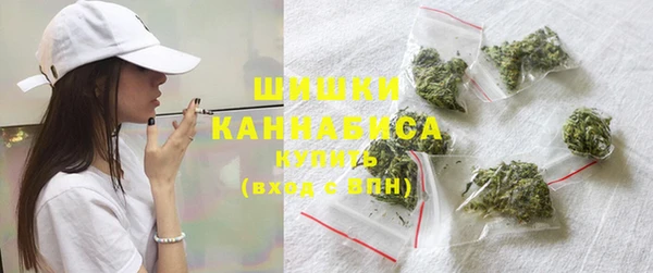 прущие грибы Медвежьегорск