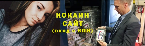 прущие грибы Медвежьегорск