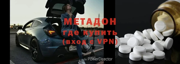 прущие грибы Медвежьегорск
