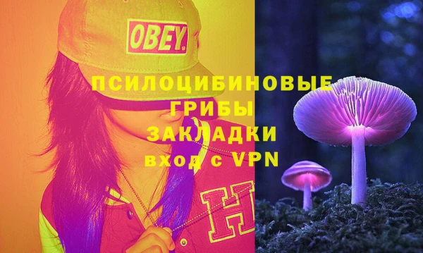 дурь Мегион
