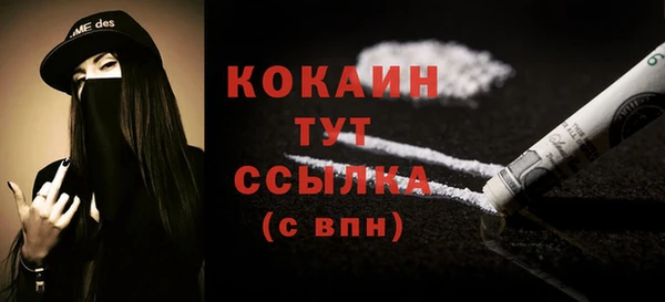 прущие грибы Медвежьегорск