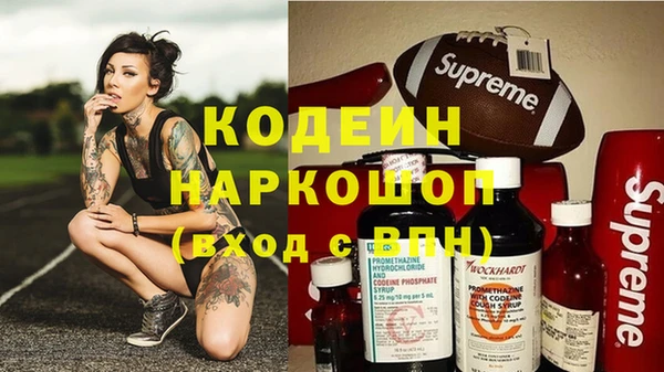 прущие грибы Медвежьегорск