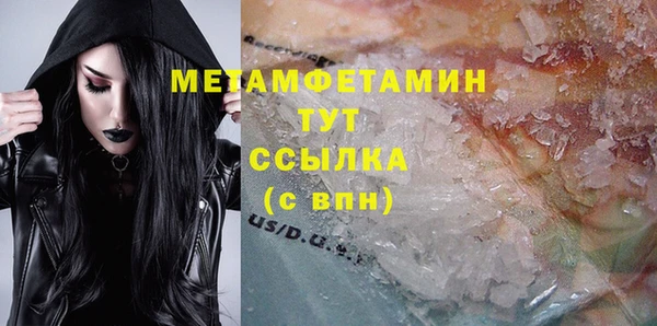 прущие грибы Медвежьегорск