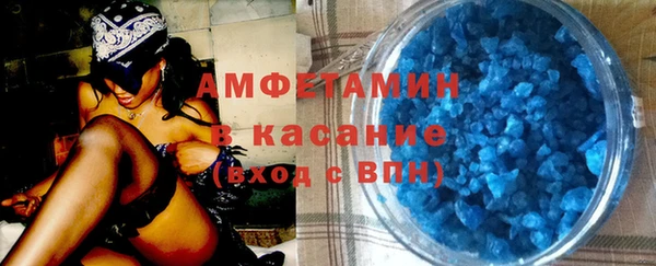 прущие грибы Медвежьегорск