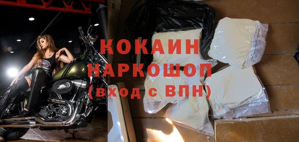 прущие грибы Медвежьегорск