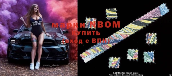 прущие грибы Медвежьегорск