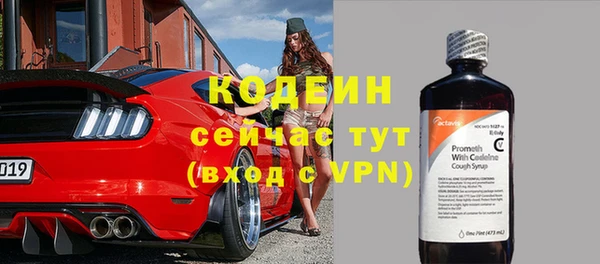 прущие грибы Медвежьегорск
