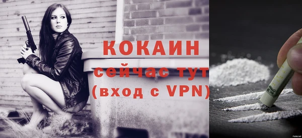 мдпв Магас